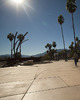 photo thumbnail #6