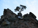 photo thumbnail #4