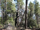 photo thumbnail #5