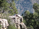 photo thumbnail #7