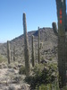 photo thumbnail #7
