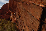 photo thumbnail #13