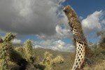 photo thumbnail #10
