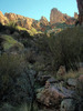 photo thumbnail #3