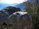 photo thumbnail #14