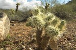 photo thumbnail #1