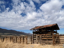 photo thumbnail #2