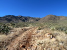 photo thumbnail #7