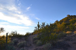 photo thumbnail #2
