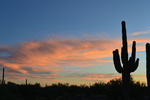 photo thumbnail #11