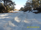 photo thumbnail #3