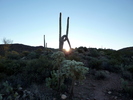 photo thumbnail #1