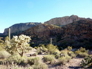 photo thumbnail #4