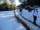 photo thumbnail #7