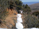 photo thumbnail #9