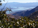 photo thumbnail #10