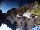 photo thumbnail #12