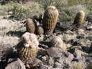 photo thumbnail #5