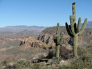 photo thumbnail #10