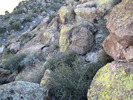 photo thumbnail #2
