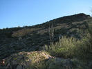 photo thumbnail #3