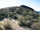 photo thumbnail #7