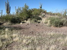 photo thumbnail #8