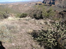 photo thumbnail #11