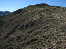 photo thumbnail #13