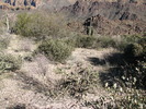 photo thumbnail #15