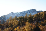 photo thumbnail #2