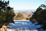 photo thumbnail #5