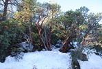 photo thumbnail #6