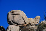 photo thumbnail #7