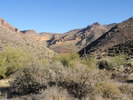 photo thumbnail #5