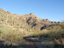 photo thumbnail #6