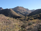 photo thumbnail #9