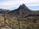 photo thumbnail #5