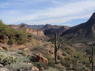 photo thumbnail #6