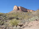 photo thumbnail #8