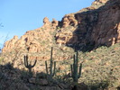 photo thumbnail #12