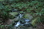 photo thumbnail #9