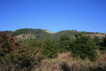 photo thumbnail #10