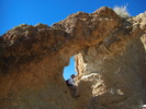 photo thumbnail #2