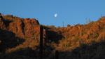 photo thumbnail #1
