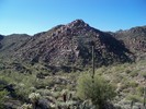 photo thumbnail #9