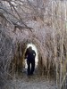 photo thumbnail #12