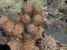 photo thumbnail #10