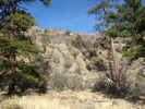 photo thumbnail #5