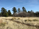 photo thumbnail #7